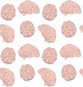 Vector seamless pattern of hand drawn human brain Royalty Free Stock Photo