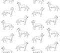 Vector seamless pattern of hand drawn husky