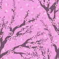 Vector seamless pattern with hand drawn illustration of sakura branch with flower on pink background. Romantic japanese cherry bra Royalty Free Stock Photo