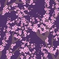 Vector seamless pattern with hand drawn illustration of sakura branch with flower on purple background. Romantic japanese cherry b Royalty Free Stock Photo