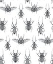 Vector seamless pattern with hand drawn insects. Entomological magical endless background. Royalty Free Stock Photo