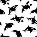 Vector seamless pattern of hand drawn killer whale swimming on white background