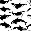 Hand drawn killer whale pattern Royalty Free Stock Photo