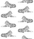 Vector seamless pattern of hand drawn lying tiger