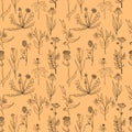 Vector seamless pattern with medical plants Royalty Free Stock Photo
