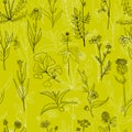 Vector seamless pattern with medical plants Royalty Free Stock Photo