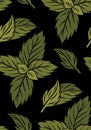 Vector seamless pattern with hand drawn mint leaves. Peppermint texture on black background. Leaves backdrop Royalty Free Stock Photo