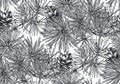 Vector seamless pattern with hand drawn pine branches in sketch style. Forest endless background Royalty Free Stock Photo