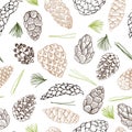 Vector seamless pattern with hand drawn pine cones Royalty Free Stock Photo