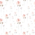 Hand drawn pink roses flowers on white background like watercolor painting. Royalty Free Stock Photo