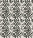 Vector seamless pattern with hand drawn python skin ornament. Modern trendy endless background
