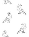 Vector seamless pattern of hand drawn raven