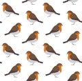Vector seamless pattern of hand drawn robin bird Royalty Free Stock Photo