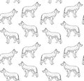 Vector seamless pattern of hand drawn shepherd dog