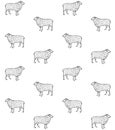 Vector seamless pattern of hand drawn sketch sheep