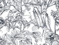 Vector seamless pattern with hand drawn vegetable plants