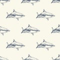 Vector seamless pattern with hand drawn white sharck sketch. Vintage background. Sealife illustration