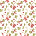 Vector seamless pattern of hawberry shrub. Autumn forest concept. Hawthorn background. Royalty Free Stock Photo