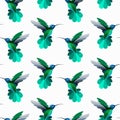 Vector seamless pattern with hummingbirds, colibri. Texture for