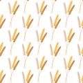 Vector seamless pattern illustration ears of wheat. Beer, oktoberfest, background. For bakery package, bread products. Autumn Royalty Free Stock Photo