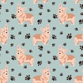 Vector seamless pattern with the image of beautiful Corgi dogs and dog tracks on a blue background. Design for printing cards, Royalty Free Stock Photo