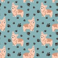 Vector seamless pattern with the image of beautiful Corgi dogs and dog tracks on a blue background. Design for printing Royalty Free Stock Photo