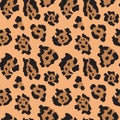 Vector seamless pattern with jaguar skin. Endless modern background.