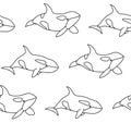 Vector seamless pattern of killer whale in outline style. Line art cartoon orca Royalty Free Stock Photo