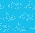 Vector seamless pattern of killer whale in outline style. Line art orca Royalty Free Stock Photo