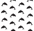 Vector seamless pattern of killer whale silhouette Royalty Free Stock Photo