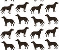 Vector seamless pattern of labrador dog silhouette Royalty Free Stock Photo