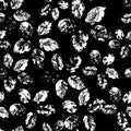 Vector seamless pattern with leaves. Black and white. Royalty Free Stock Photo