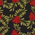 Vector seamless pattern with leaves and fruits of mountain ash on a black background. Colors of autumn nature for your design. Royalty Free Stock Photo