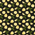 Vector seamless pattern with lemons and leaves. On a black background Royalty Free Stock Photo