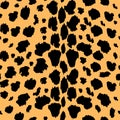 Vector seamless pattern with leopard fur texture. Repeating leopard fur background for textile design, wrapping paper, wallpaper o Royalty Free Stock Photo
