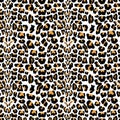 Vector seamless pattern with leopard fur texture. Repeating leopard fur background for textile design, wrapping paper, wallpaper o Royalty Free Stock Photo