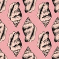 vector seamless pattern of light pink seashell with the outline of a black seashell on a pink background. A hand-drawn Royalty Free Stock Photo