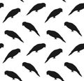 Vector seamless pattern of lory parrot silhouette