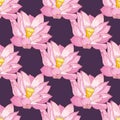 Vector seamless pattern of Lotus flowers, delicate pink colors on a dark lilac background Royalty Free Stock Photo