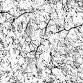 Vector seamless pattern. Monochrome cracks texture Royalty Free Stock Photo