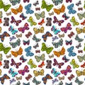 Vector seamless pattern with multicolored butterflies.