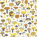 Vector seamless pattern with mushrooms. Autumn forest.