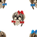 Vector seamless pattern with muzzles of Shih Tzu dog with bows. Design for textiles, wallpaper, websites, cases, pencil cases