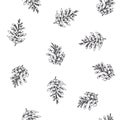 Vector Seamless Pattern With Natural Elements. Pine Cones Sketch