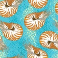 Vector seamless pattern with Nautilus Pompilius or chambered nautilus in ornate striped shell on the turquoise background.