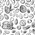 Vector seamless pattern wuth nuts and seeds