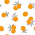 Vector seamless pattern with orange isolated on white. Hand-drawn texture with fresh fruits