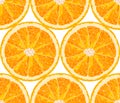 Vector seamless pattern from orange slices. Citrus background
