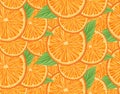 Vector seamless pattern with orange slices and leaves. Dense texture with juicy fruit and foliage. Summer background Royalty Free Stock Photo