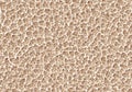 Vector seamless pattern of organic texture similar to sponge, tuff or coral Royalty Free Stock Photo